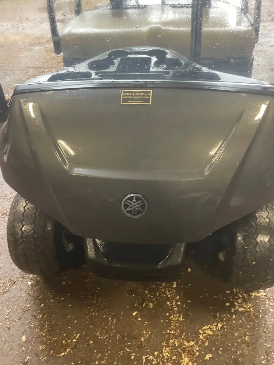 Golf buggy - Image 2