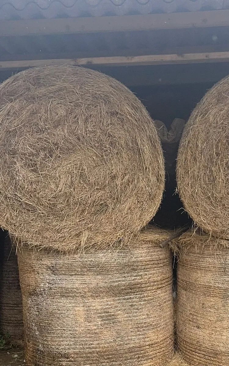 40 bales of quality hey - Image 1