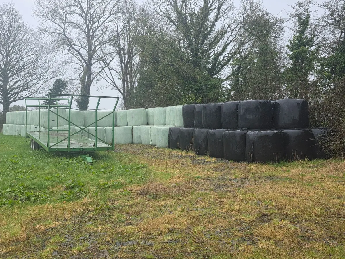 Silage and haylage - Image 1
