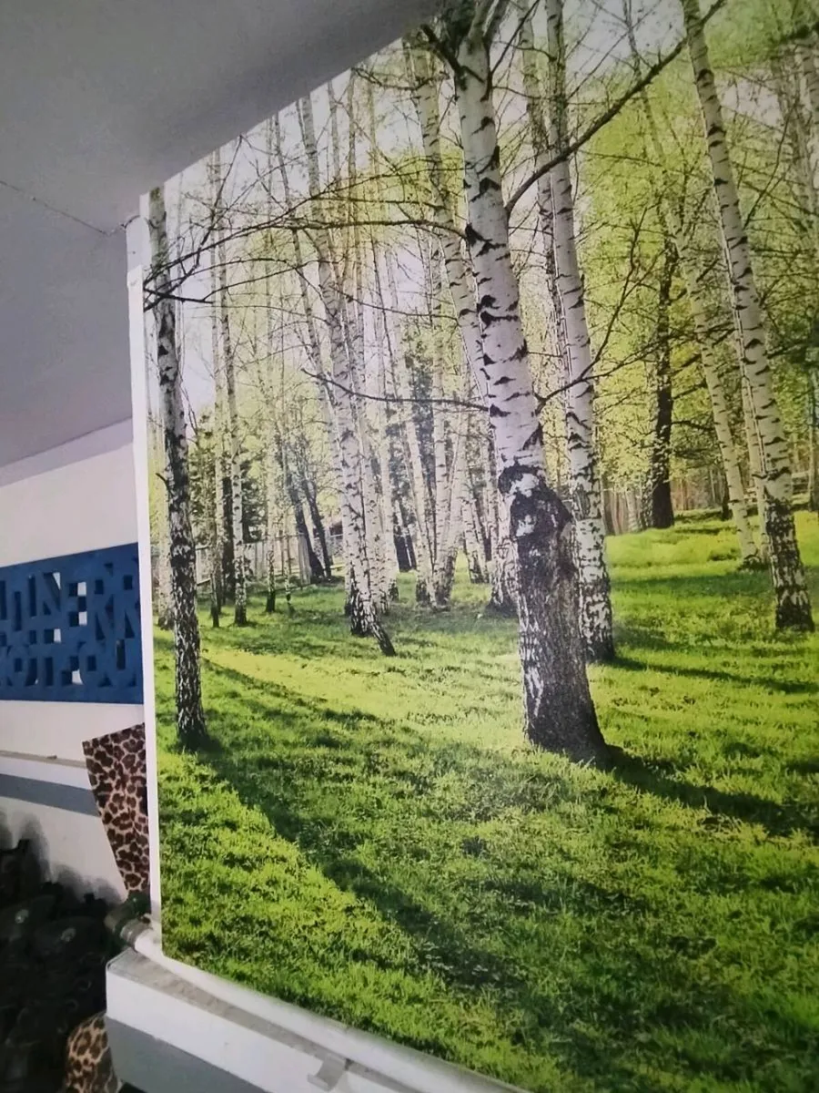 Large Birch Forest Canvas Wall Art 120×60 cm Extra - Image 4