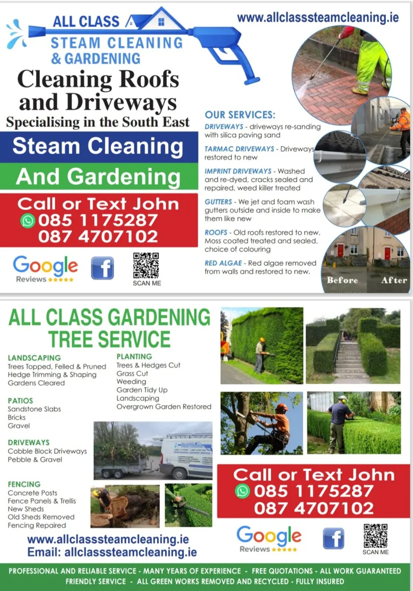 All class steam cleaning and garden - Image 2