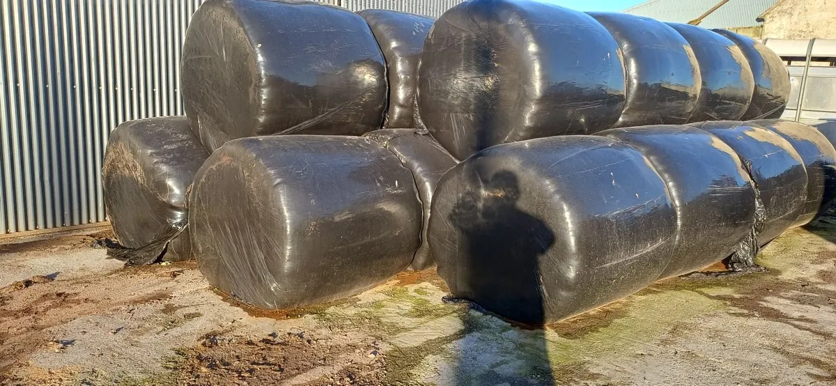 Quality Baled Silage and Haylage - Image 2