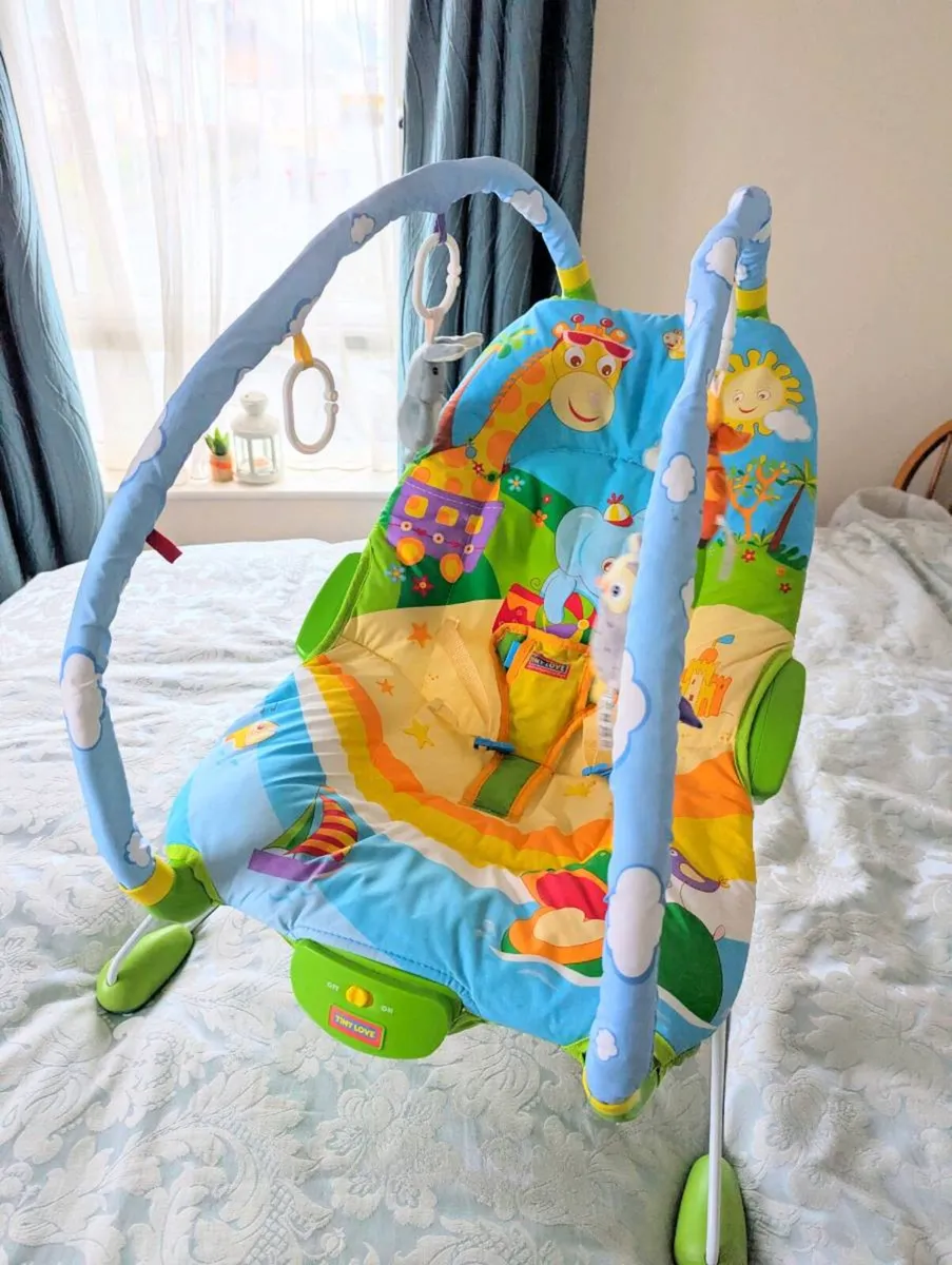Tiny Love Gymini Baby Bouncer - Image 1