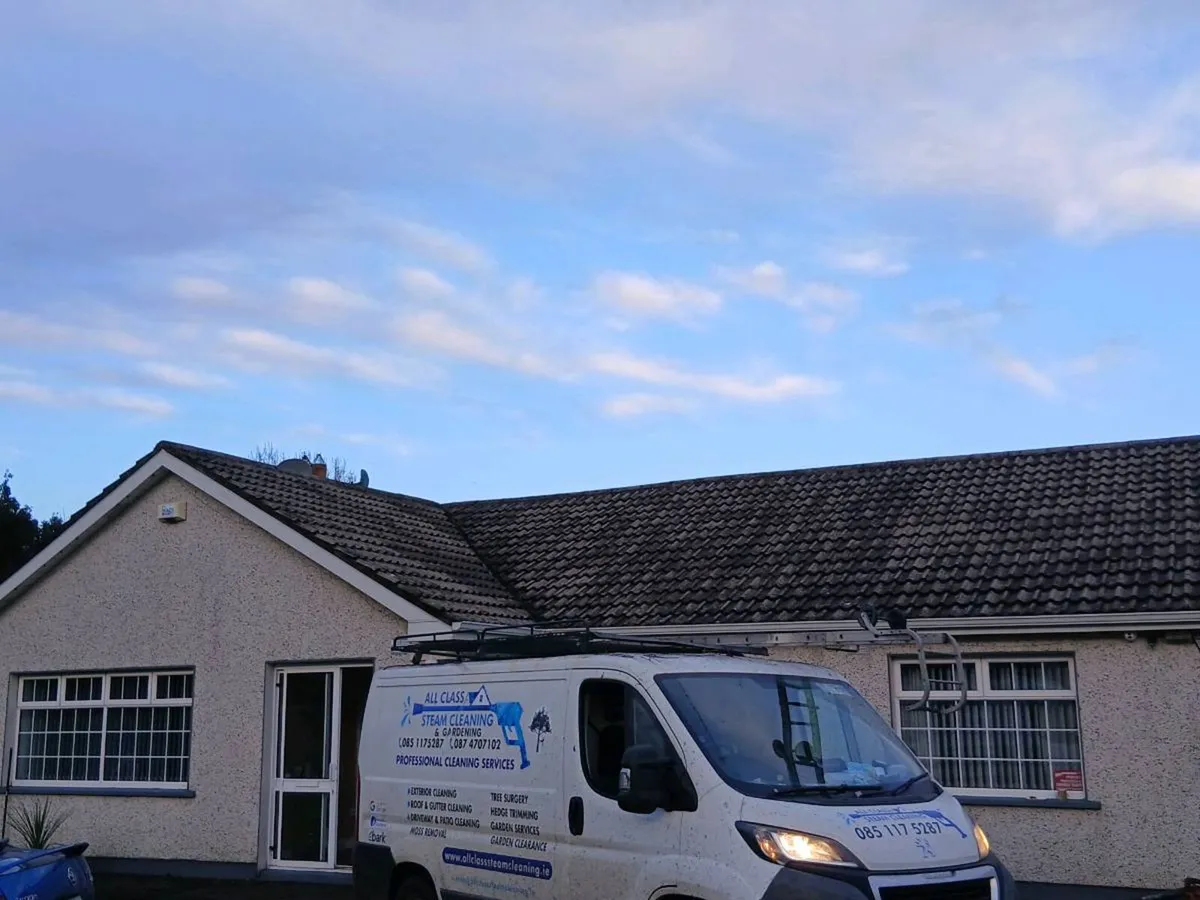 All class steam cleaning & gardening service. - Image 1