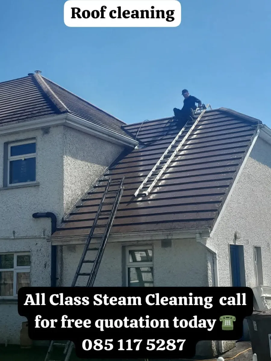 All class steam cleaning & gardening service. - Image 2