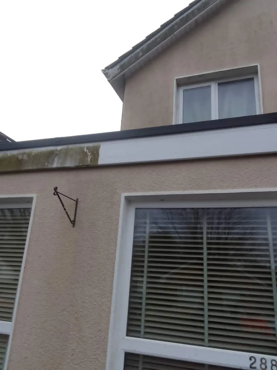 All class steam cleaning & gardening service. - Image 3