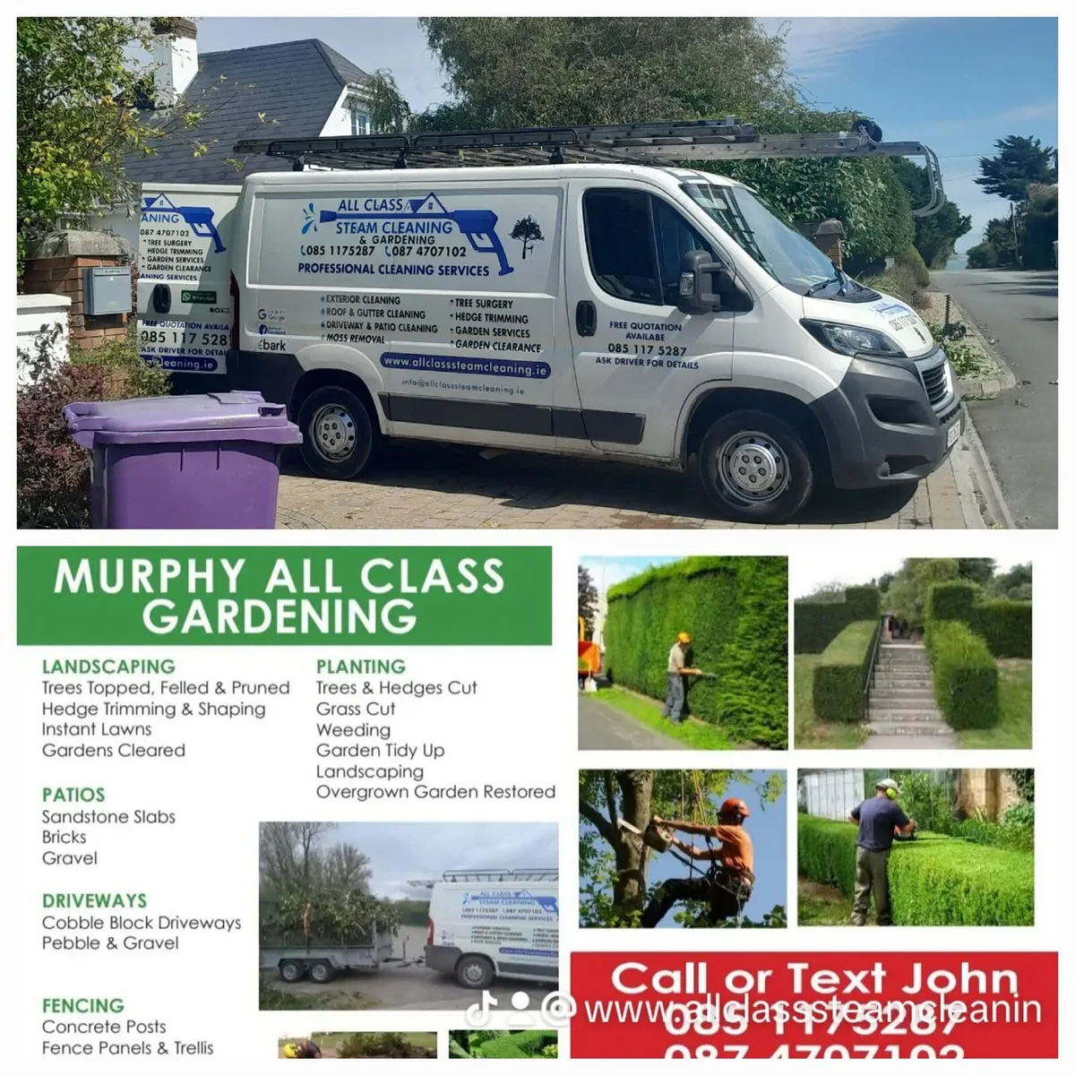 All class  garden - Image 2