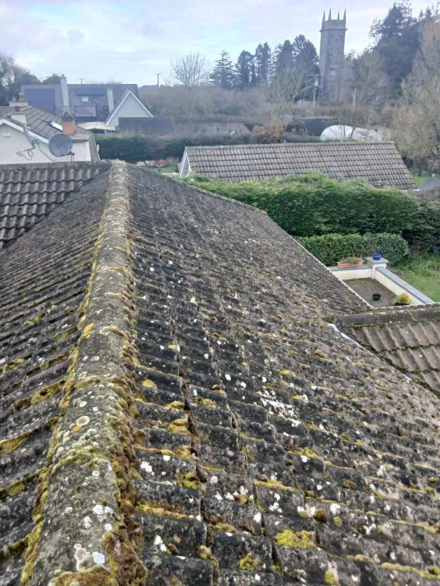 All class steam cleaning and garden.
Front of - Image 1