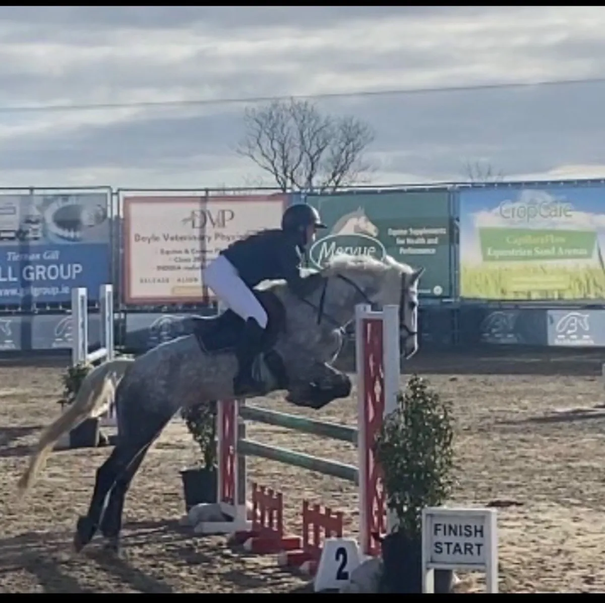 148 full Connie, all rounder, SJI - Image 2