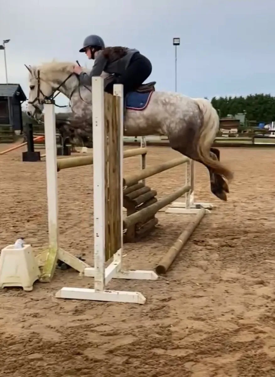 148 full Connie, all rounder, SJI - Image 3