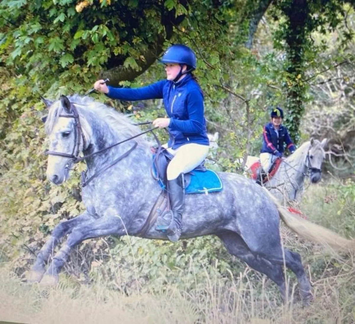 148 full Connie, all rounder, SJI - Image 4