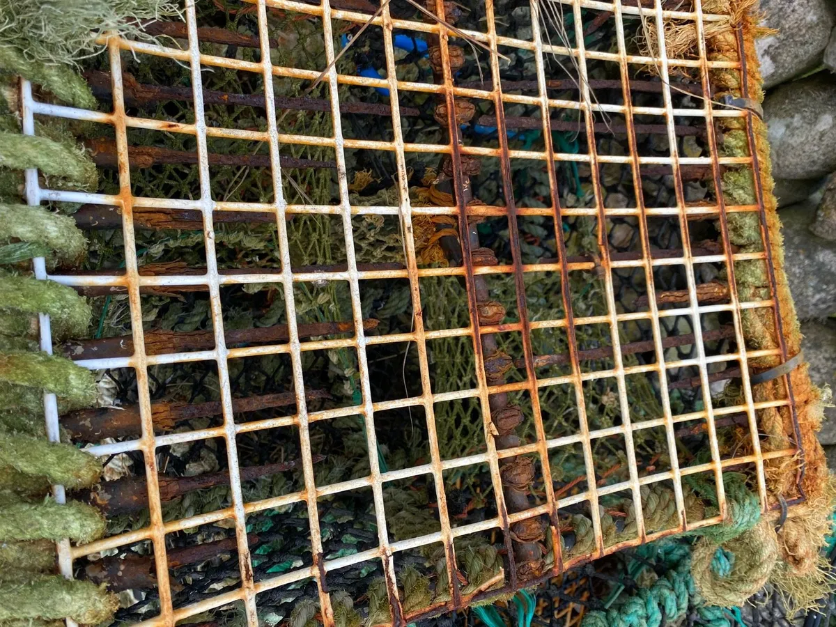 Lobster pots - Image 1