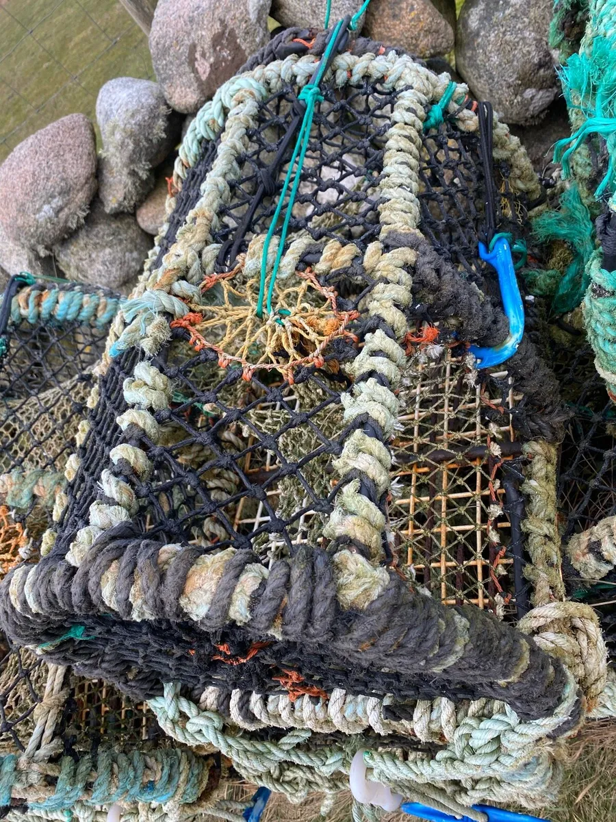 Lobster pots - Image 2