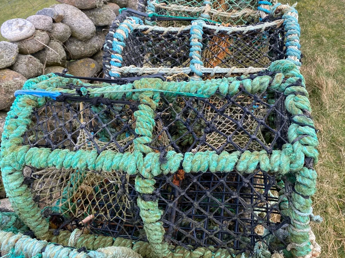Lobster pots - Image 4