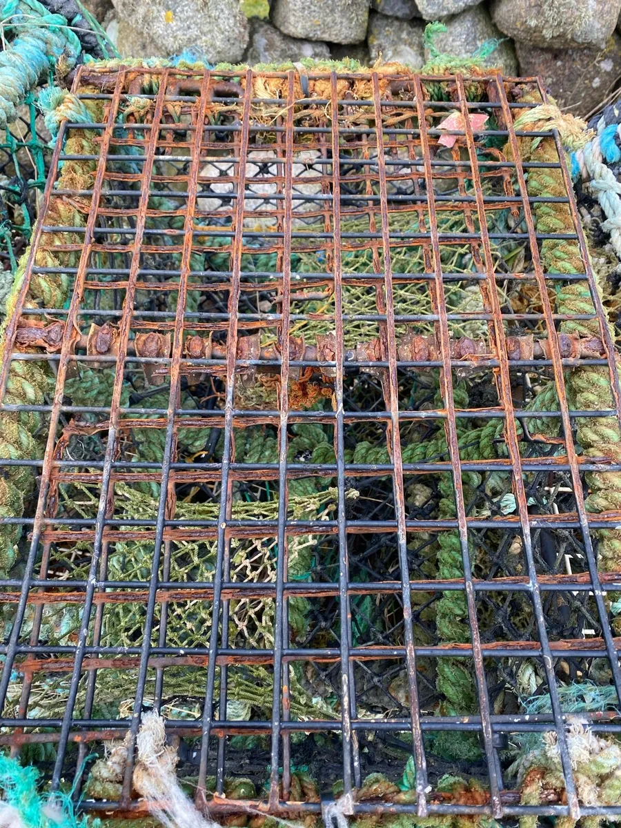 Lobster pots - Image 3