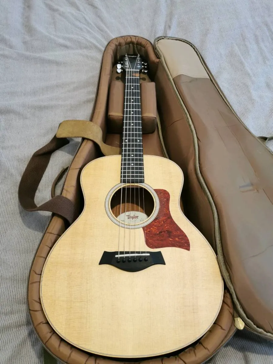 Taylor GS mini Electro Acoustic - Image 1