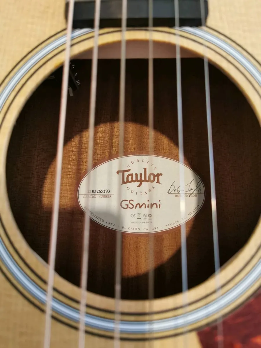 Taylor GS mini Electro Acoustic - Image 2