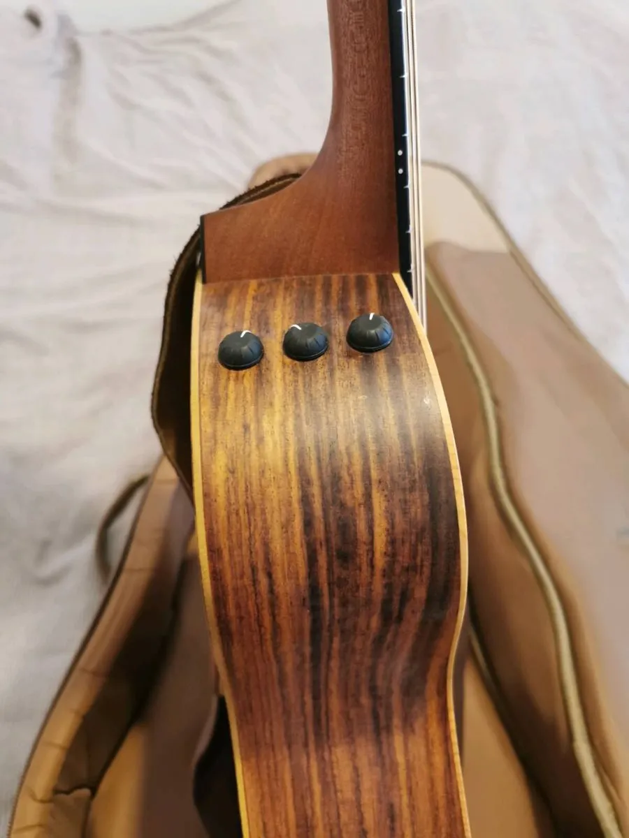 Taylor GS mini Electro Acoustic - Image 3