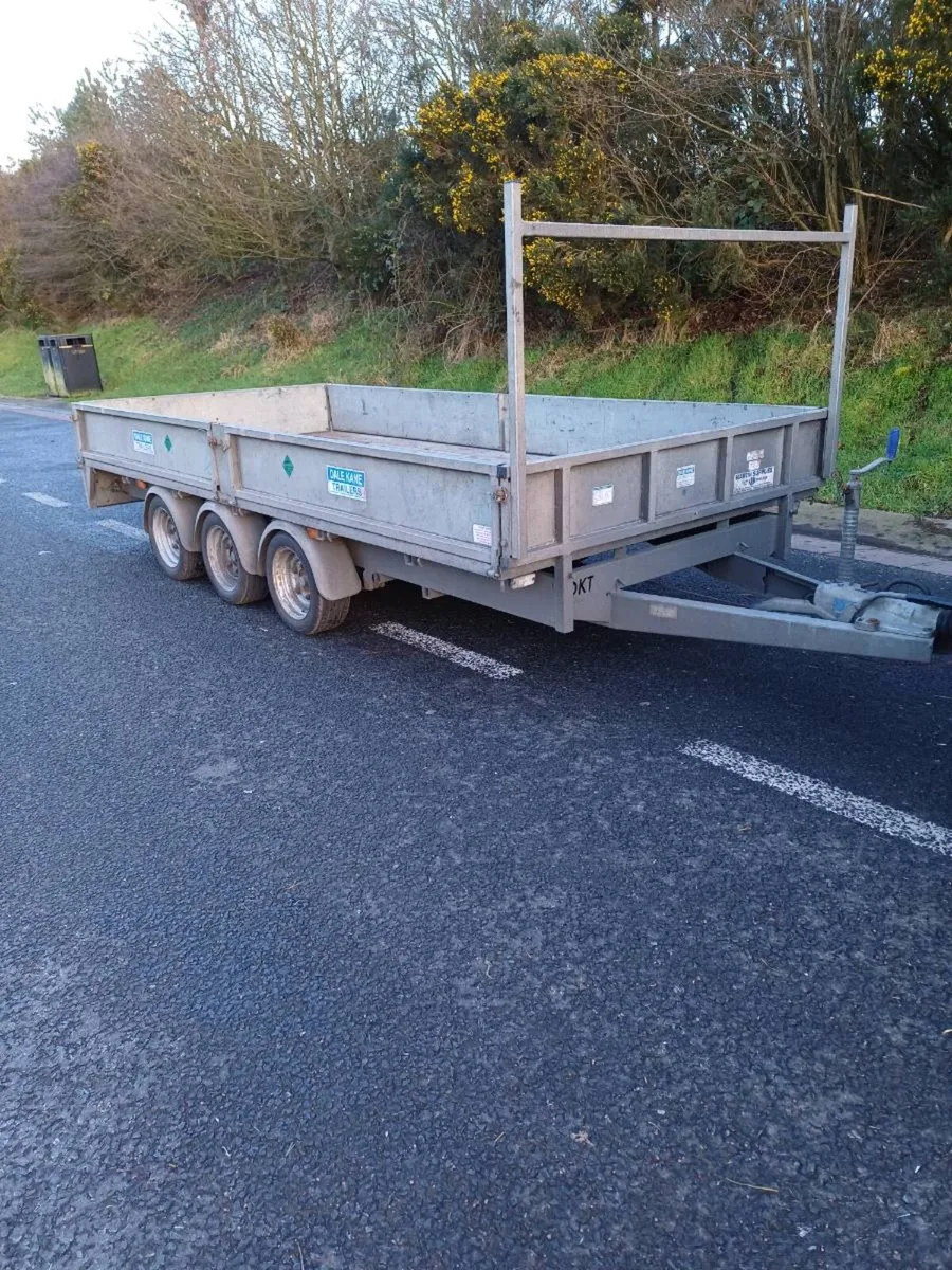 Dale kane 14ft dropside €4000