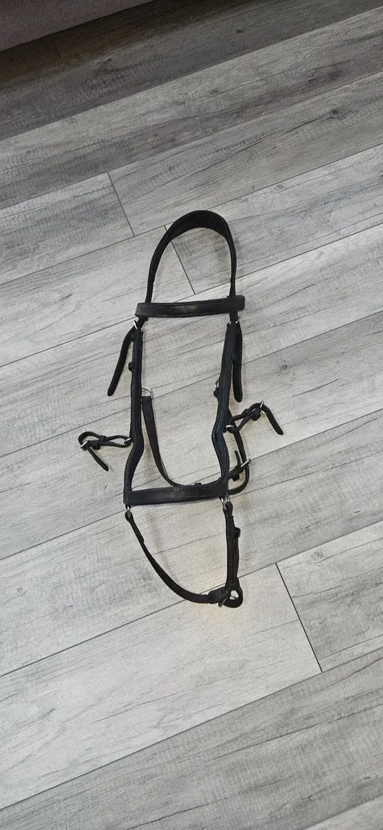 horse bridals and rugs - Image 1