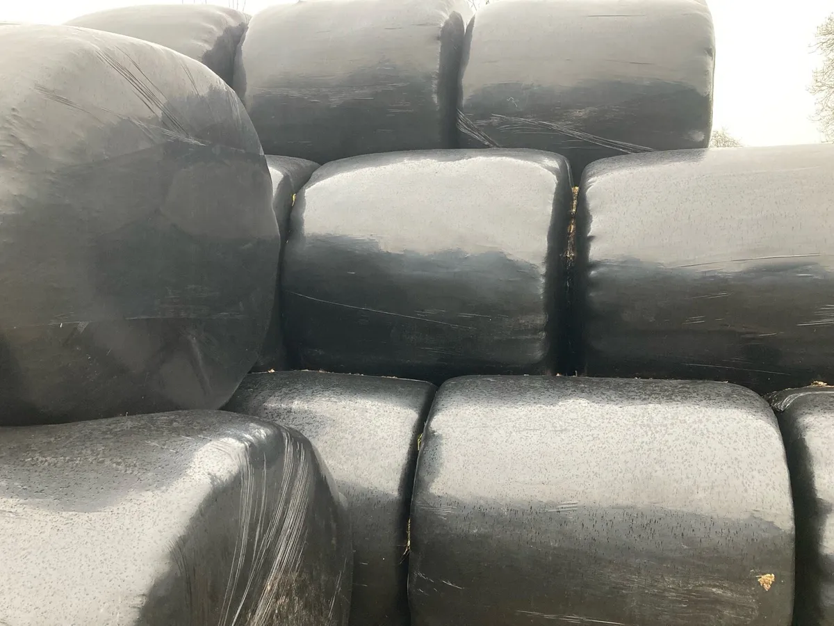 Bales of silage - Image 1