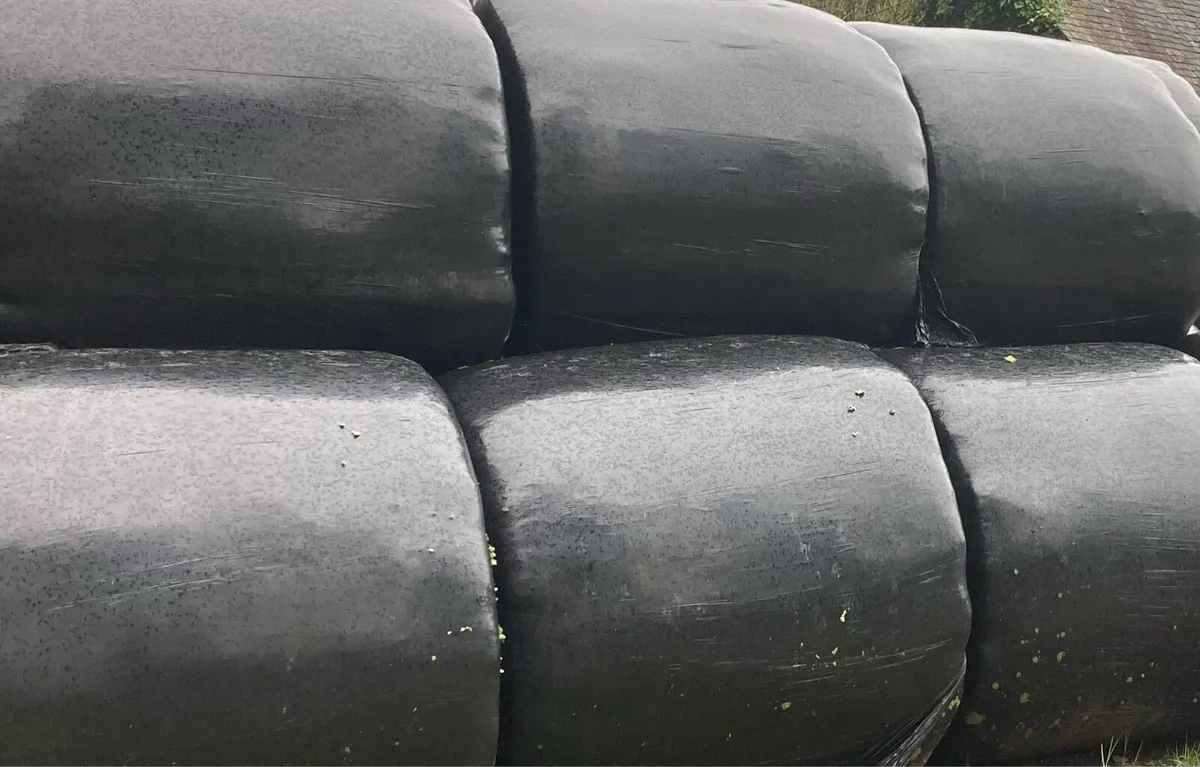 Bales of silage - Image 3