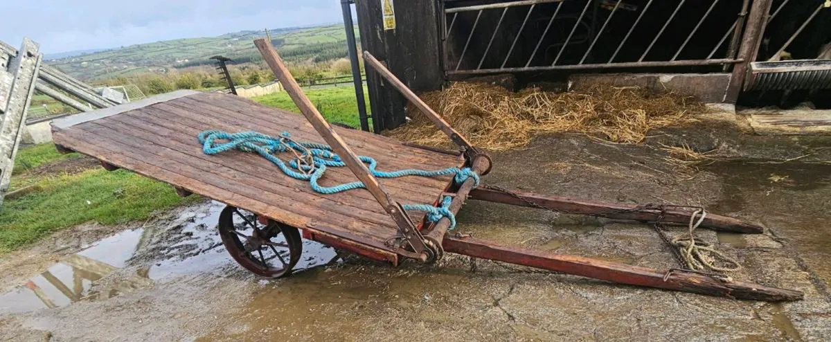 Vintage hay cartv - Image 1