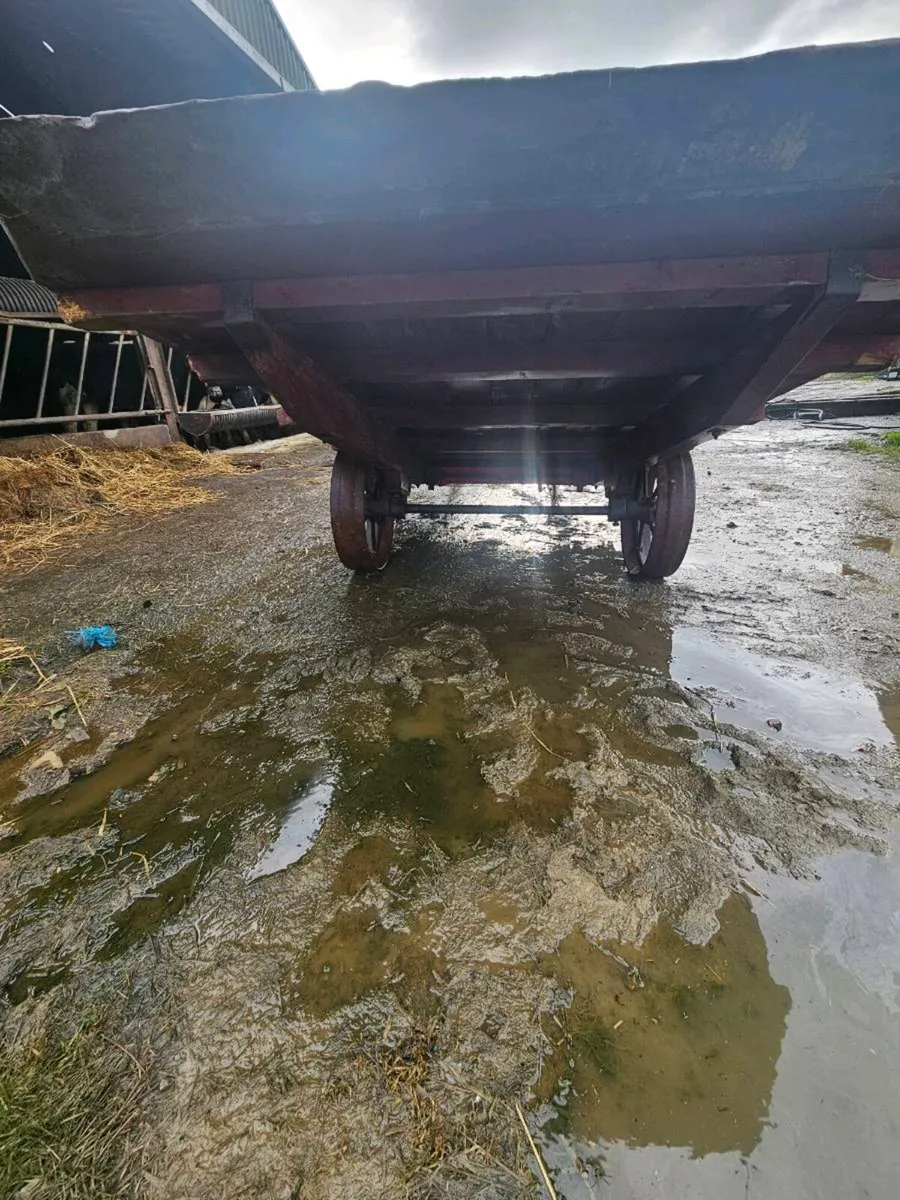 Vintage hay cartv - Image 2