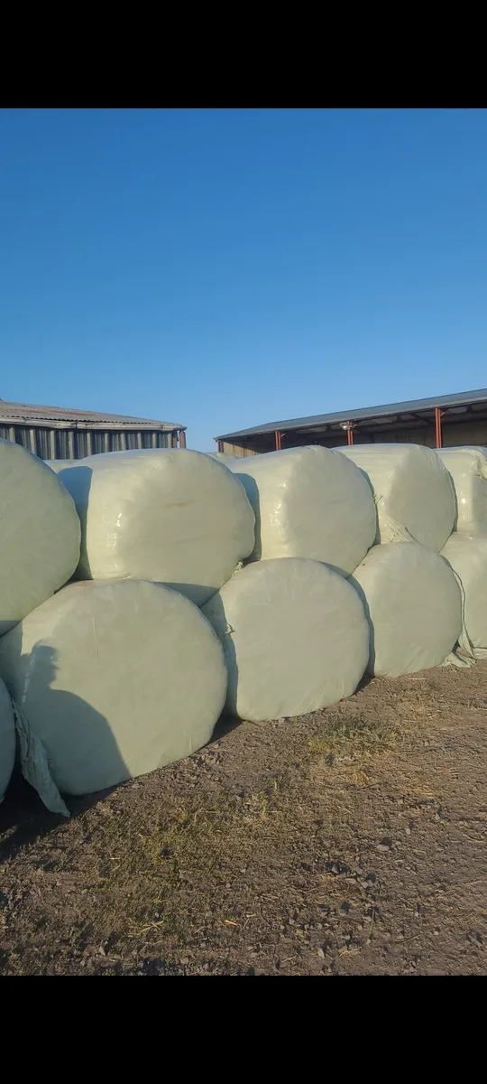 Silage 1st cut - Image 1