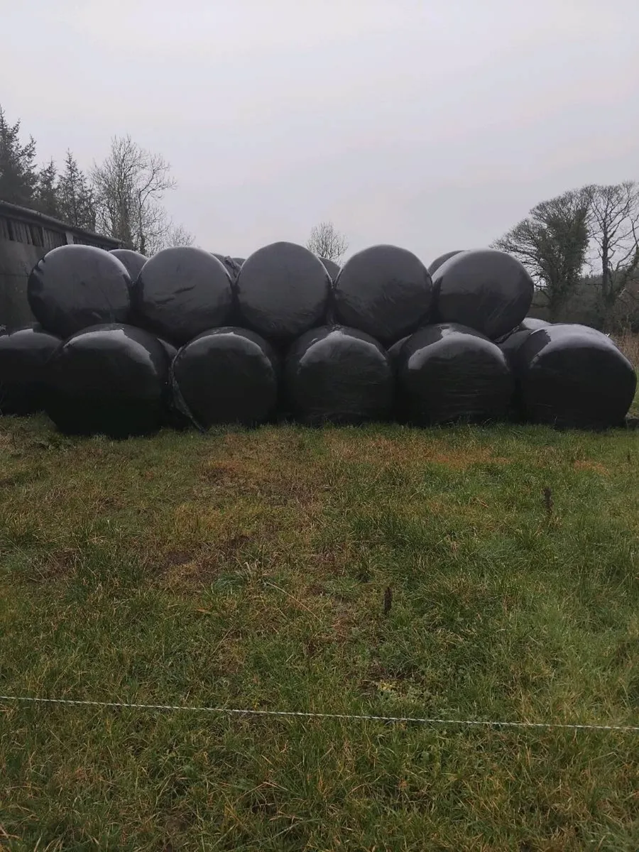 Silage bales - Image 1