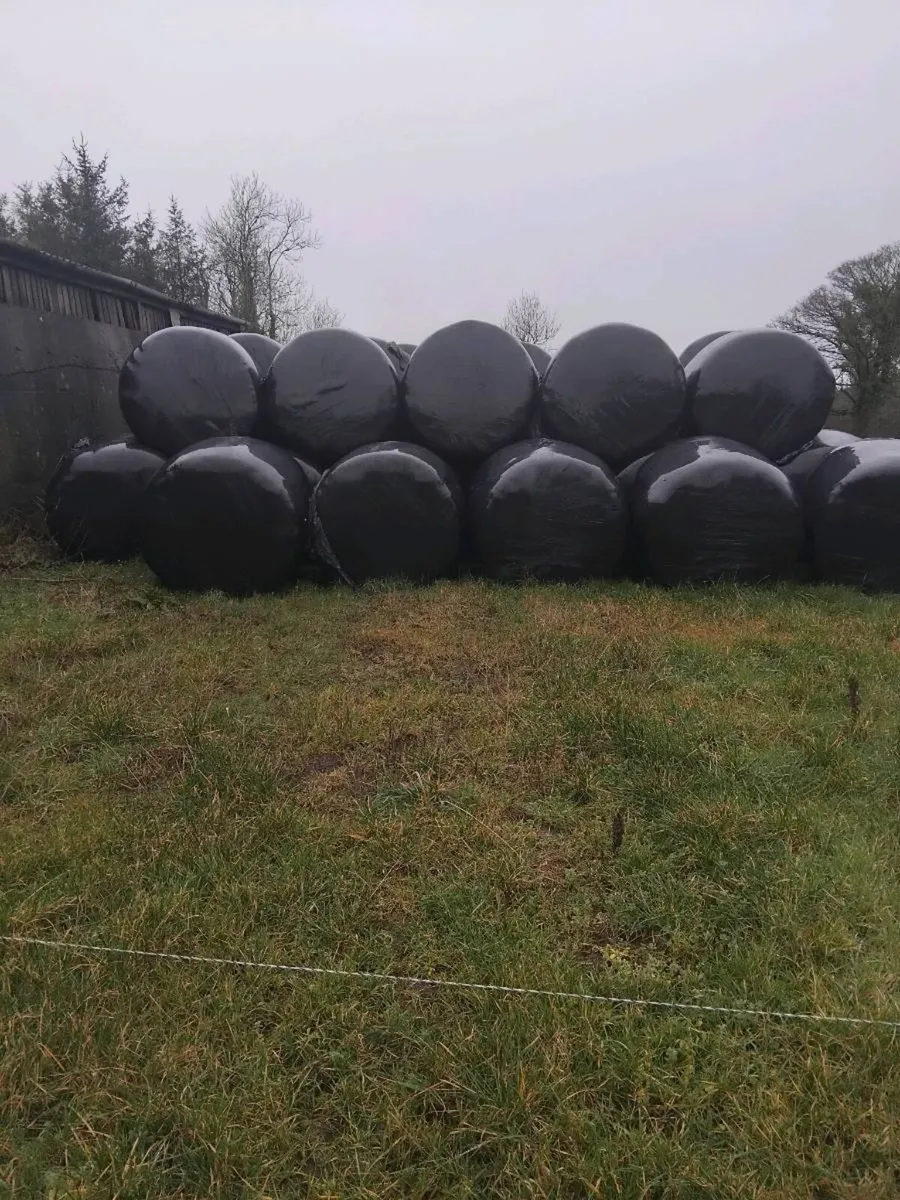 Silage bales - Image 2