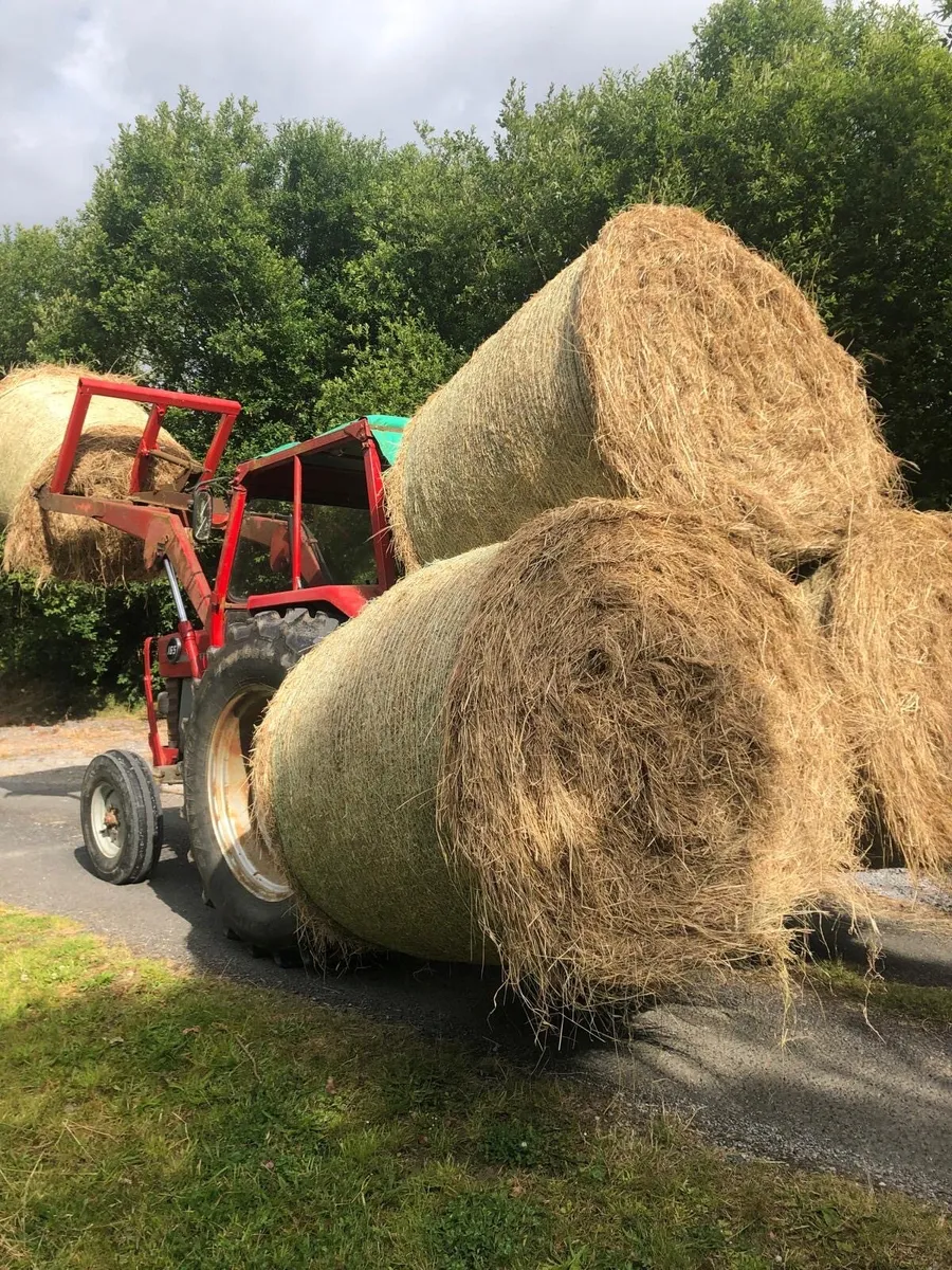 Hay and Silage - Image 1