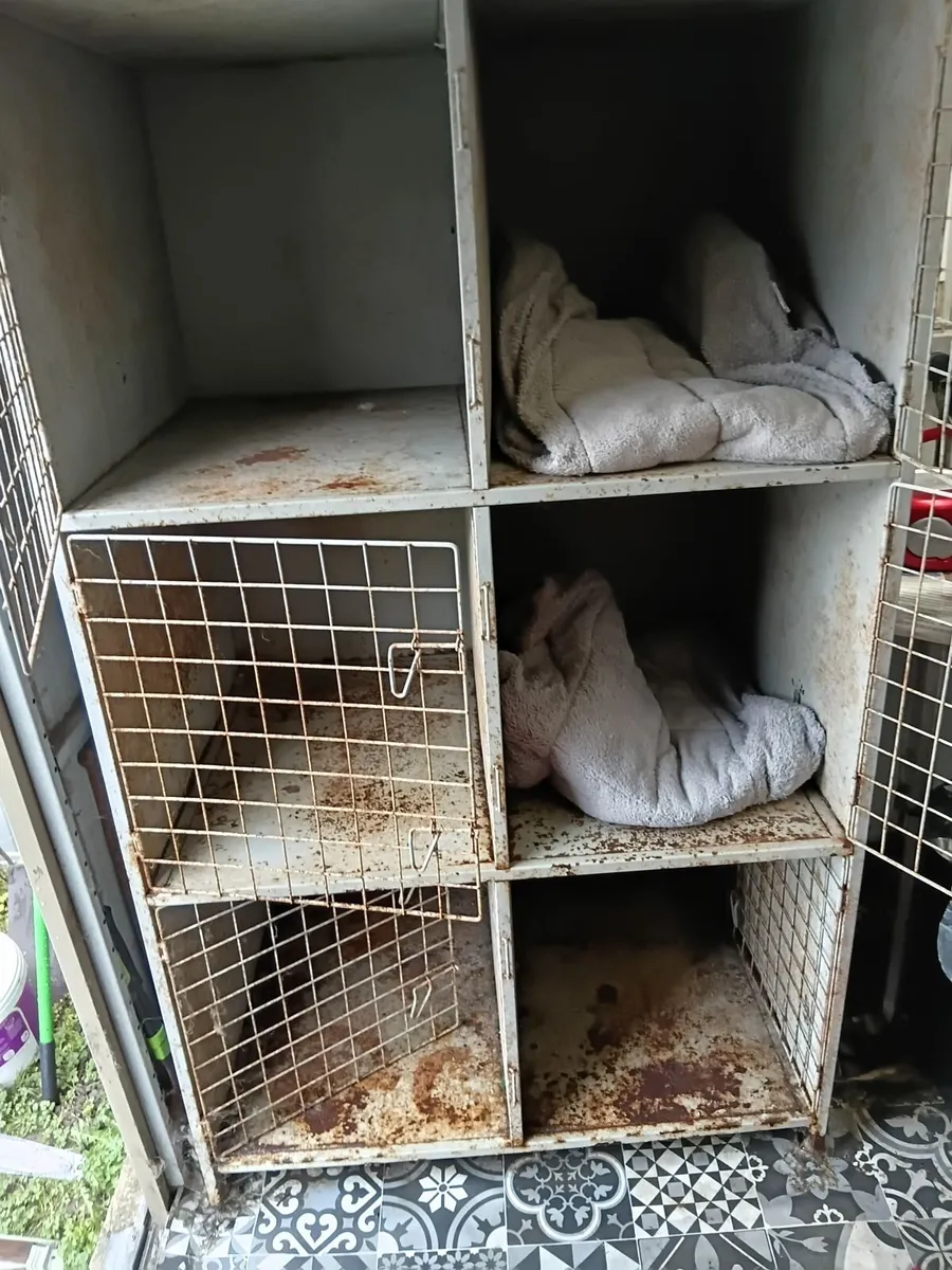 DOG GROOMING HOLDING CAGE - Image 2