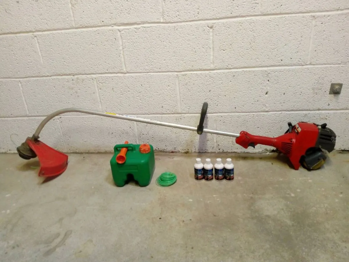 Strimmer ( for repairs ) - Image 1