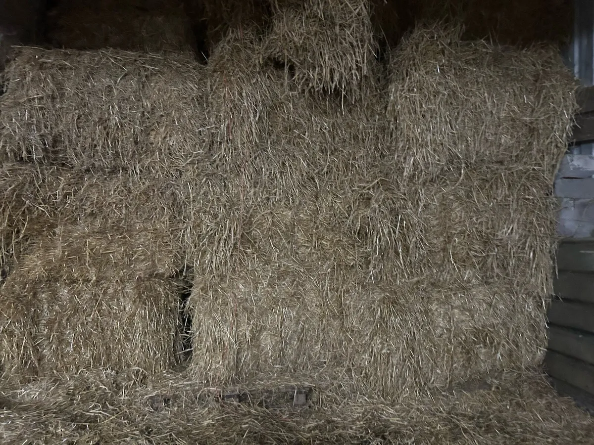 Straw - Image 2