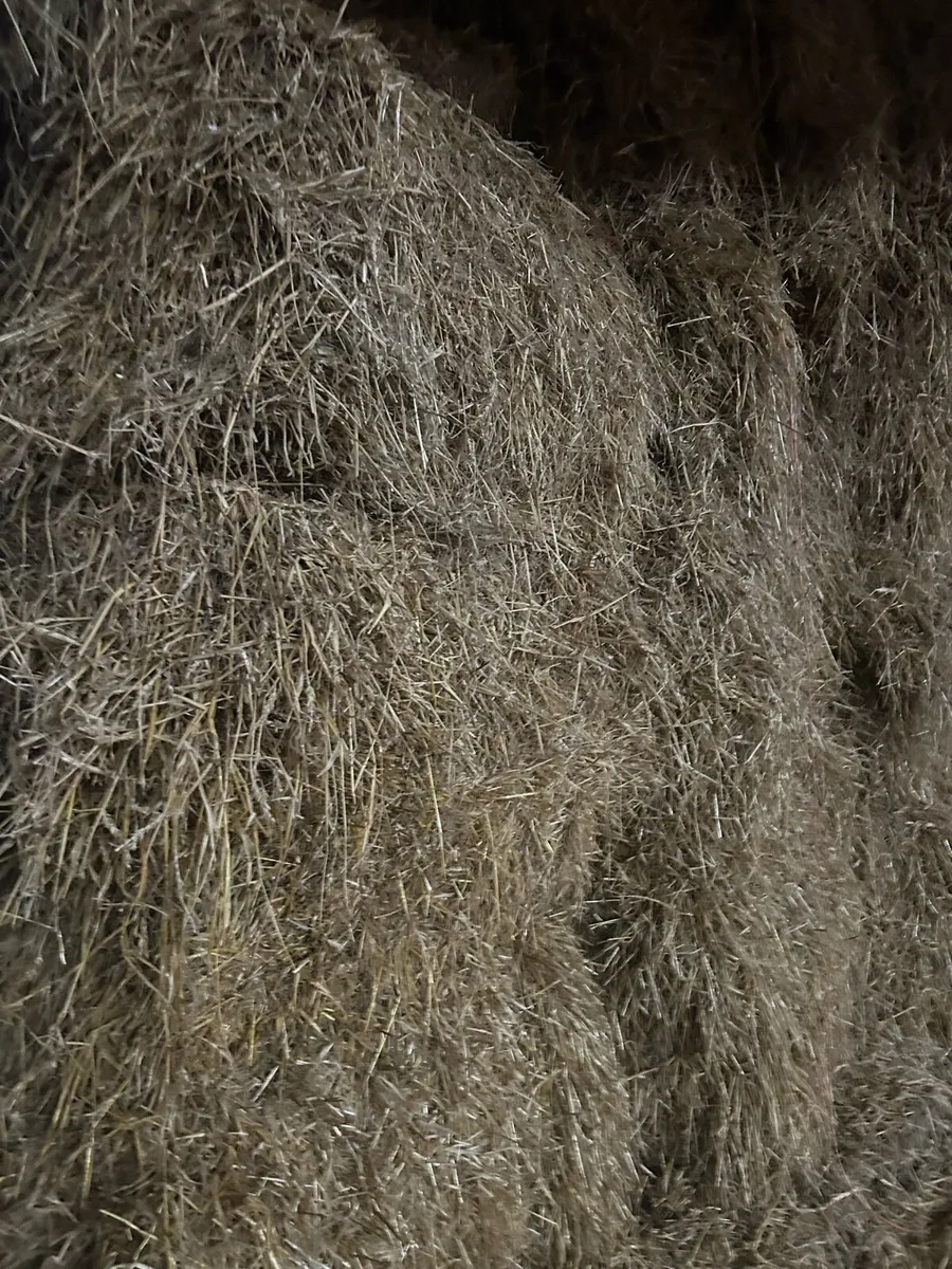 Straw - Image 3