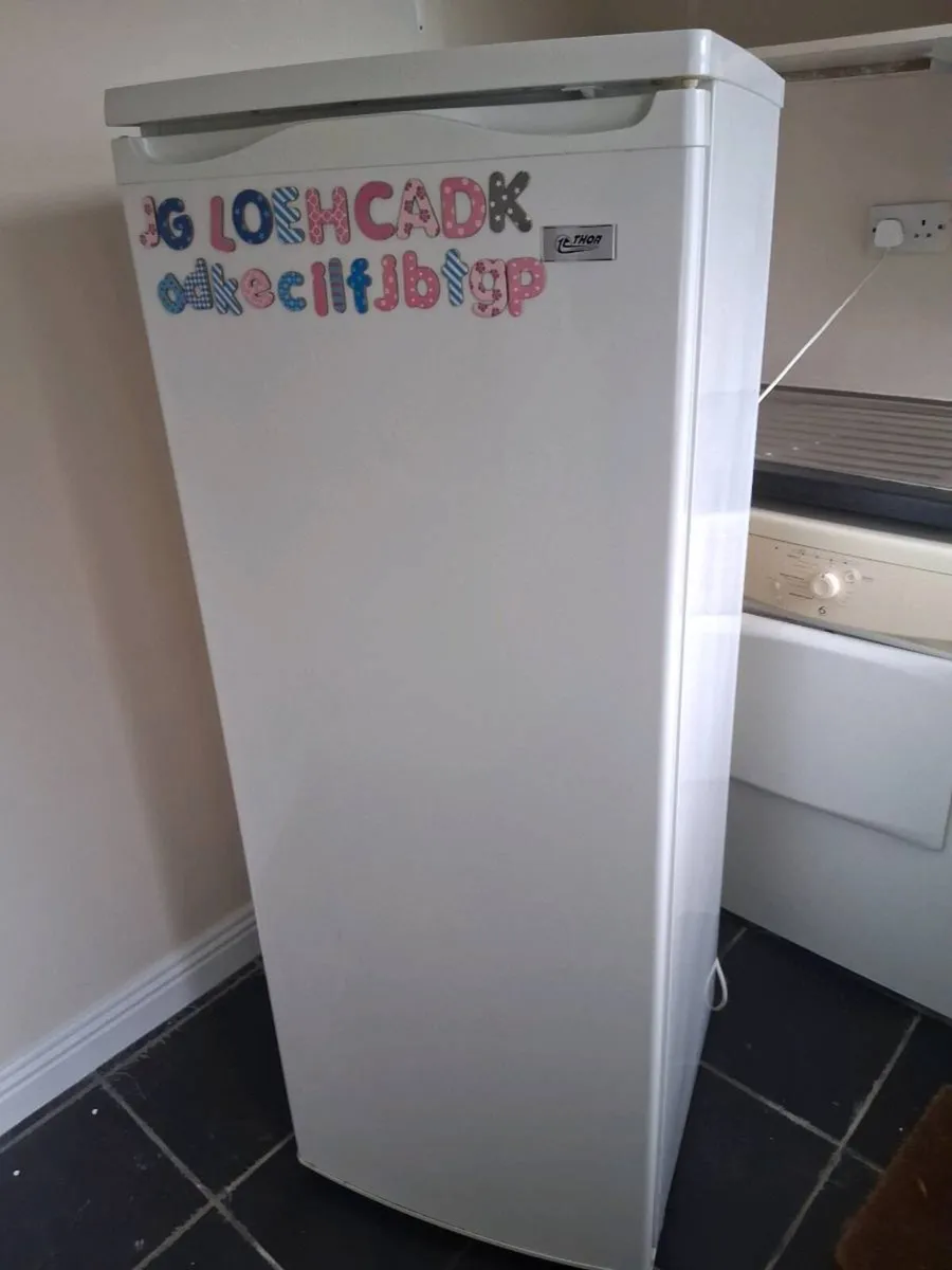 Larder fridge - Image 2