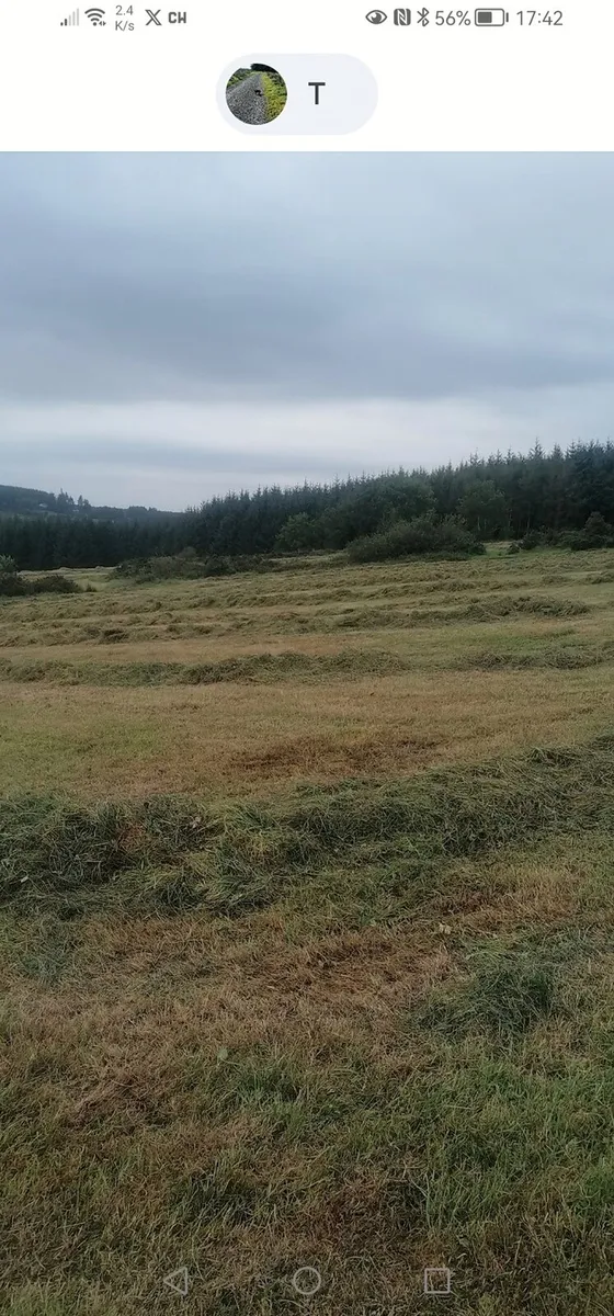 Silage Bales for sale baled dry