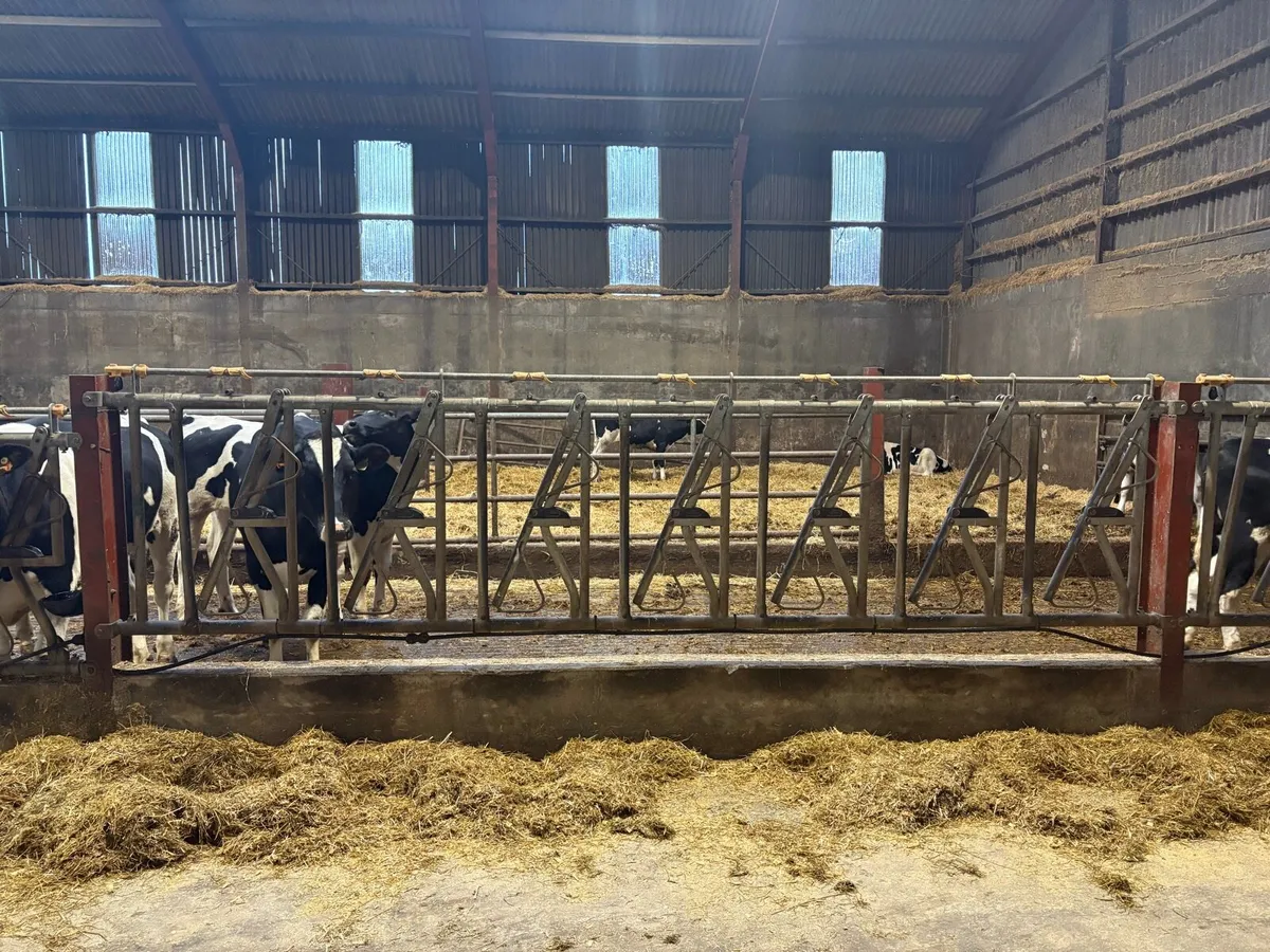 Feed locking barriers - Image 1