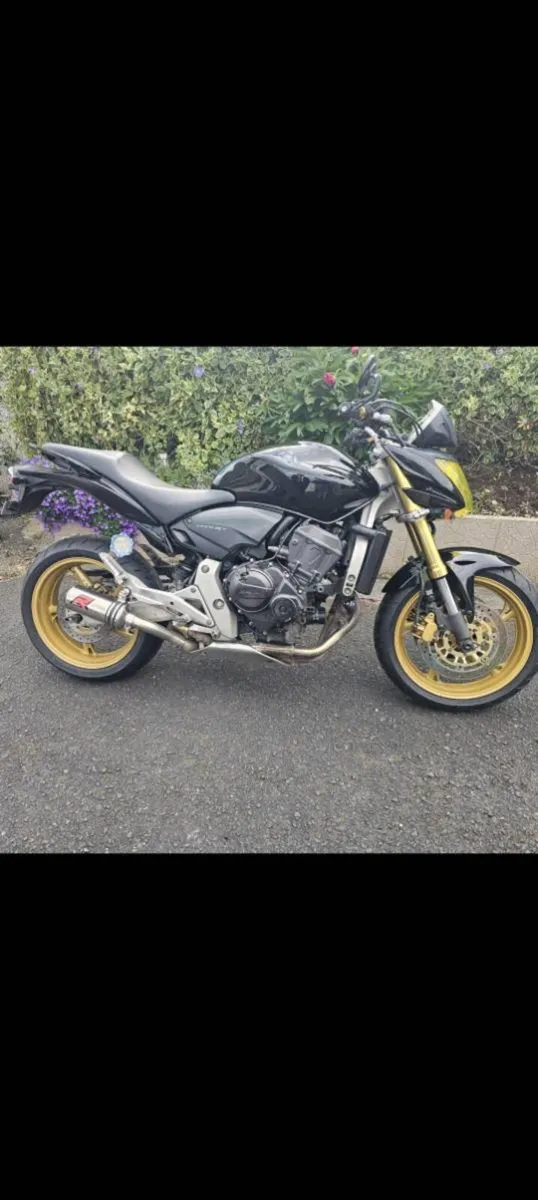 Honda Hornet - Image 2