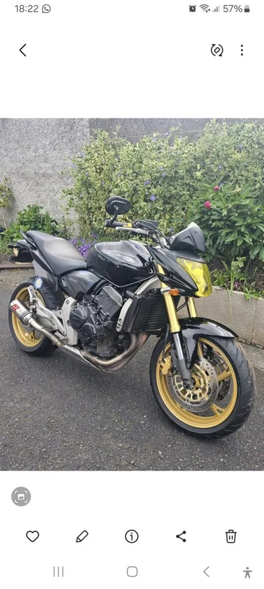 Honda Hornet - Image 3