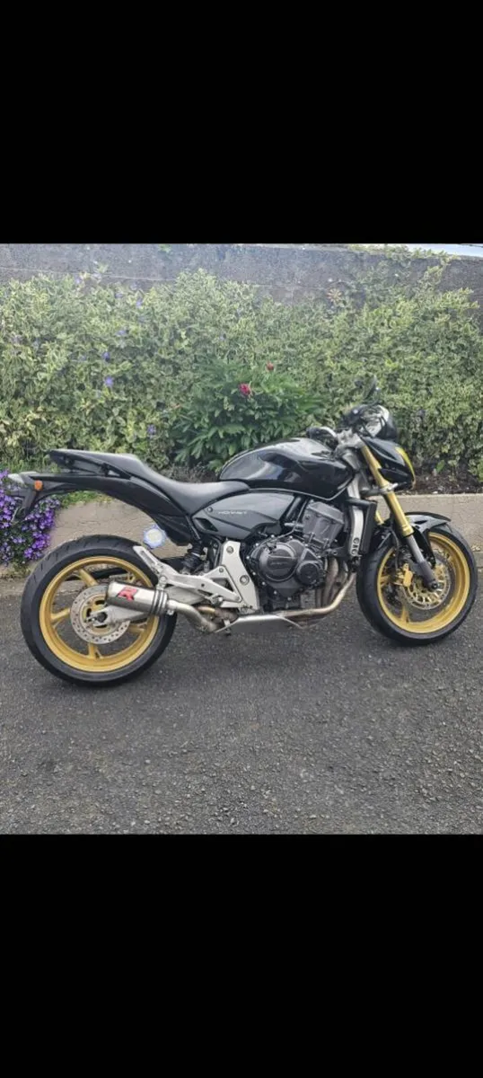 Honda Hornet - Image 4