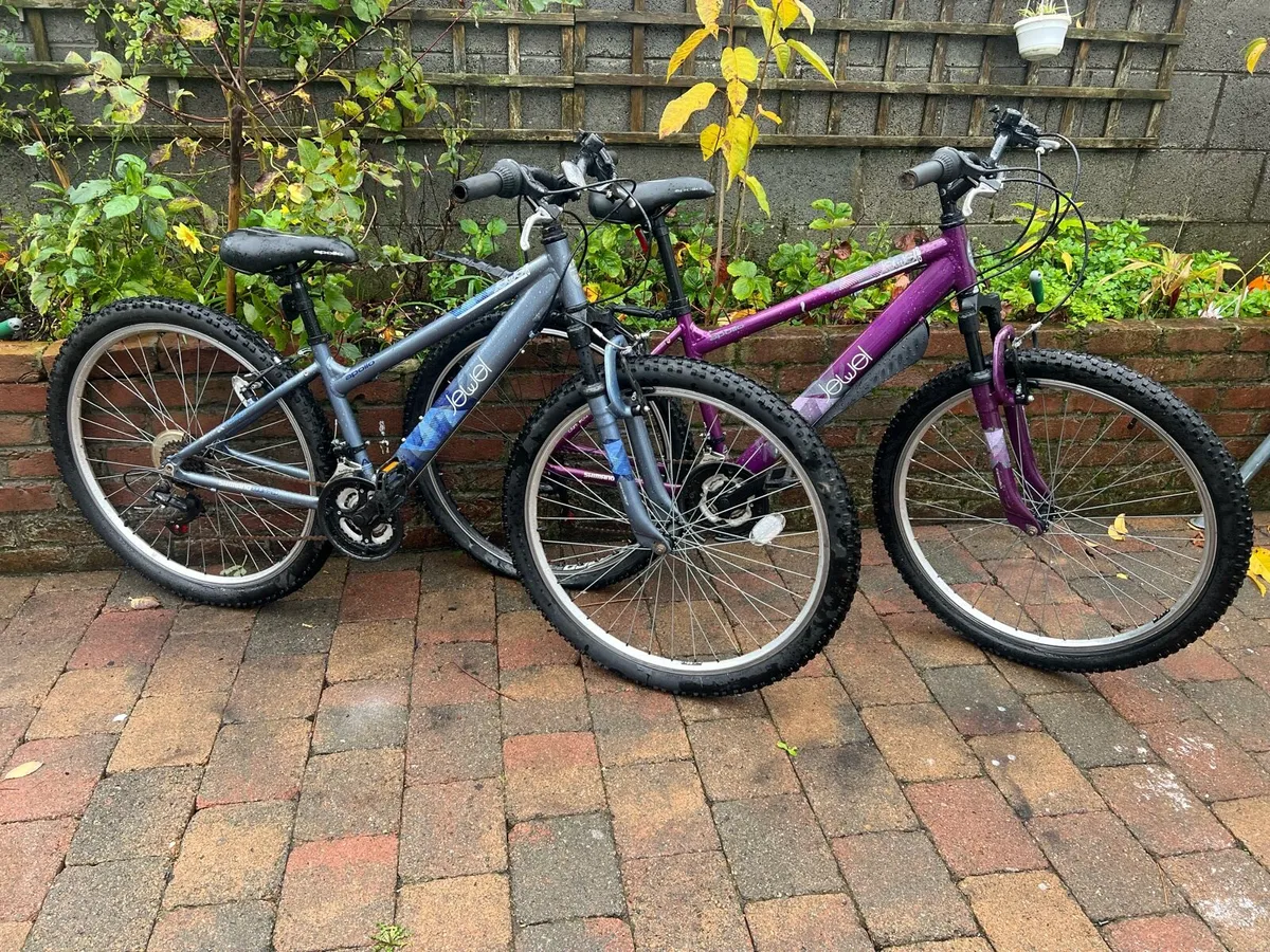 2Mountain bike in great Condition both Working100% - Image 1