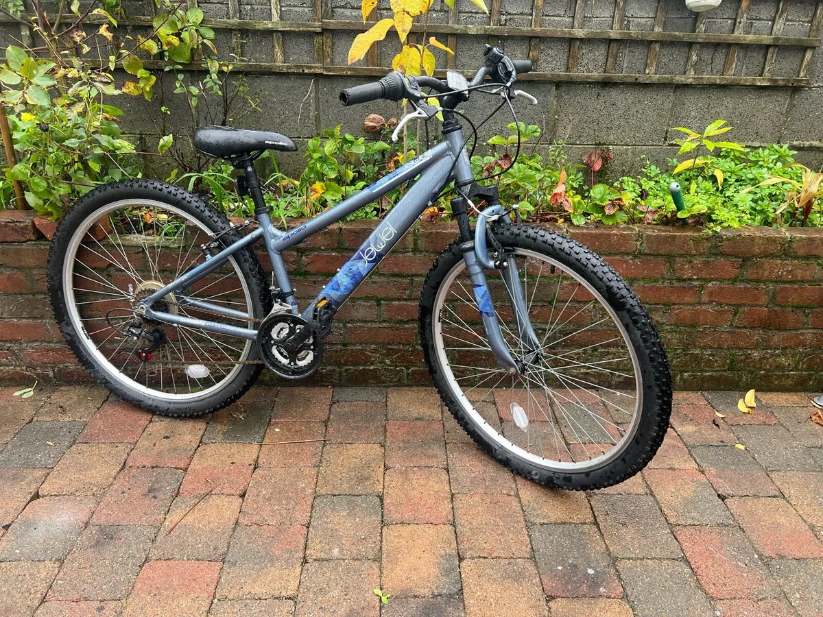 2Mountain bike in great Condition both Working100% - Image 2