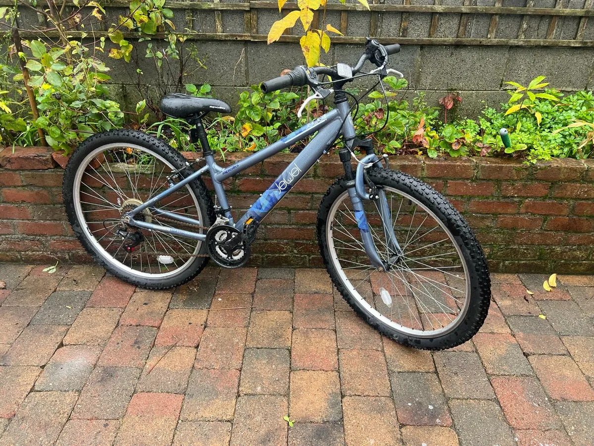2Mountain bike in great Condition both Working100% - Image 3
