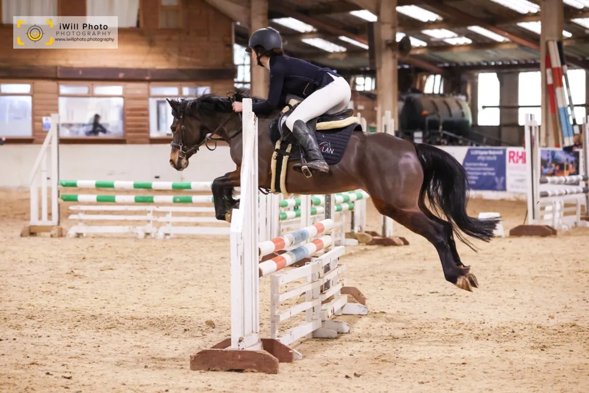 138 TOP TRACK PONY IN THE MAKING - Image 1