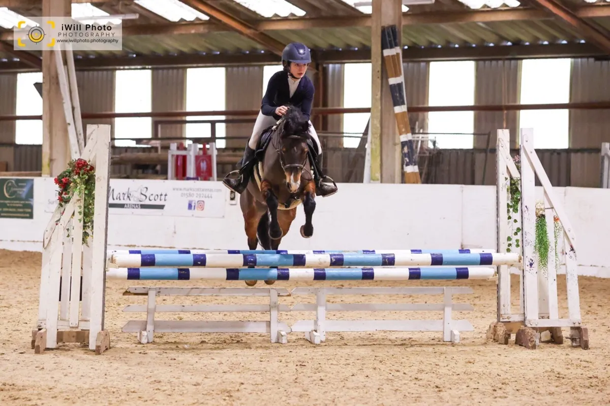 138 TOP TRACK PONY IN THE MAKING - Image 3