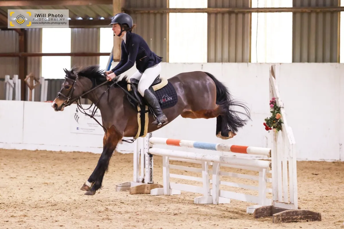 138 TOP TRACK PONY IN THE MAKING - Image 4