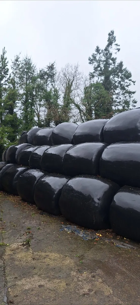 Bales Silage