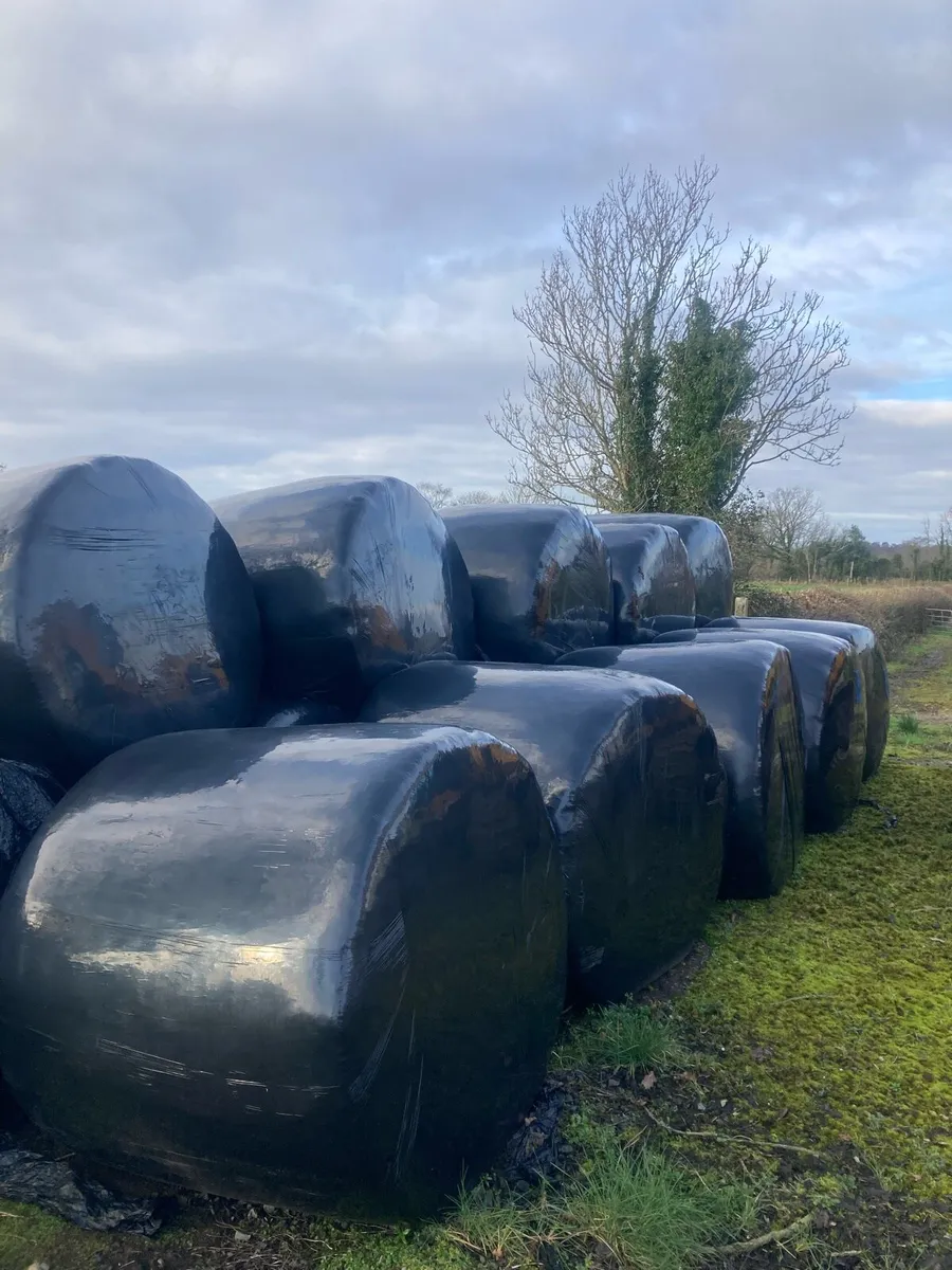 Round bales - Image 1